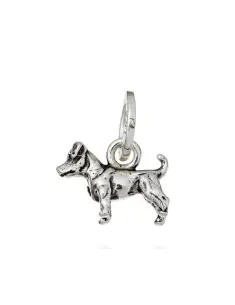 Charm Jack Russel