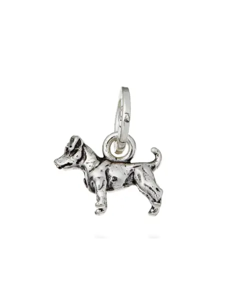 Charm Jack Russel