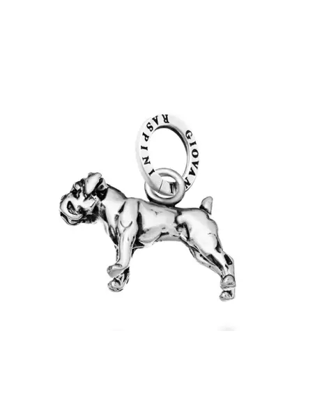 Charm Boxer