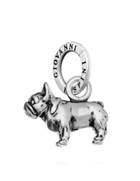 Charm Bulldog Francese