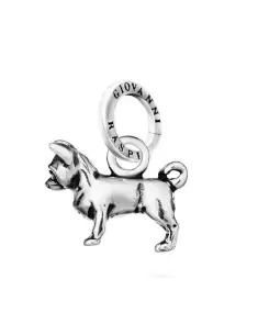 Charm Chihuahua